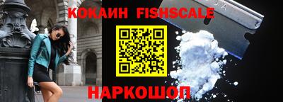 дмт Славгород