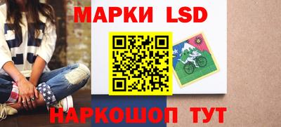 дмт Славгород