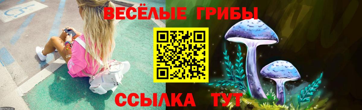 Галлюциногенные грибы Magic Shrooms  Вход с VPN  Галлюциногенные грибы ЛСД  Рузаевка 